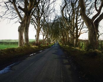 Empty road along trees