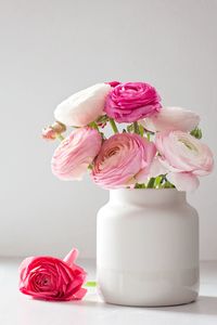 Close-up of pink ranunculus in vase on table