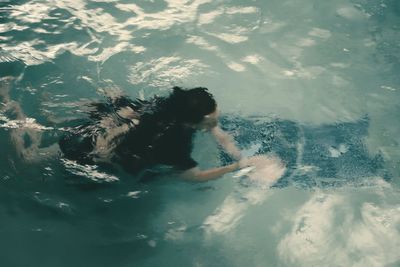 High angle view of woman swimming in pool