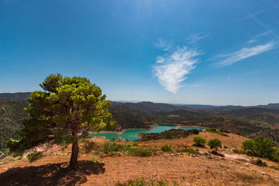 Scenic view of landscape against blue sky