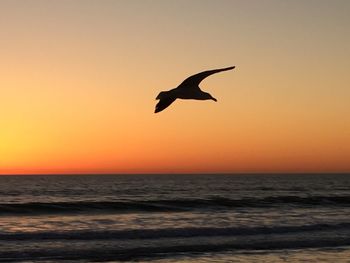 Silhouette bird flying over sea against sky during sunset