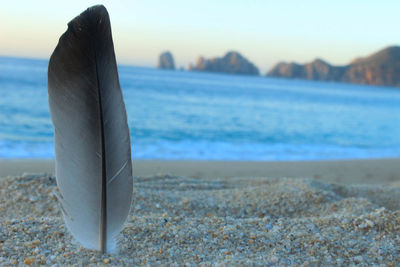 Close-up of sea shore at beach