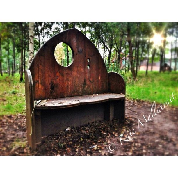 transfer print, tree, abandoned, old, auto post production filter, obsolete, rusty, damaged, wood - material, field, grass, run-down, deterioration, forest, weathered, day, metal, outdoors, close-up, no people