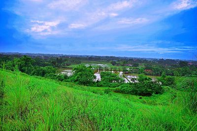 Scenic view of field against sky