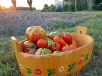 Close-up of tomatoes in basket