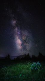 Scenic view of field against sky at night