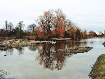 Reflection of bare trees in water