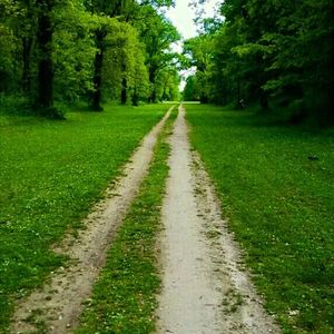 Road passing through grassy field