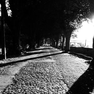 Empty road along trees