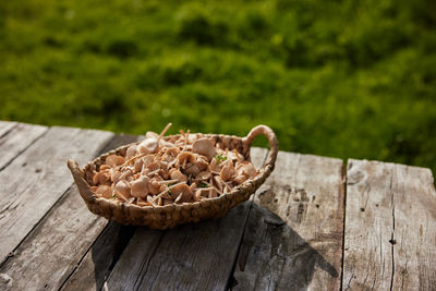 Close-up of food