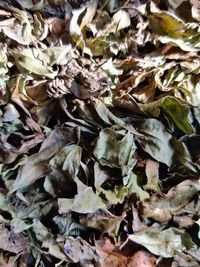 Full frame shot of dry leaves on field