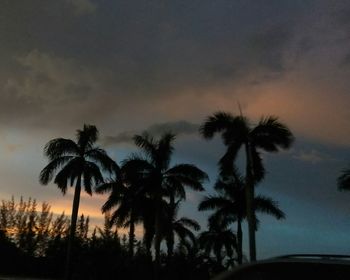 Silhouette of palm trees against cloudy sky