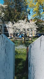 Trees against built structure