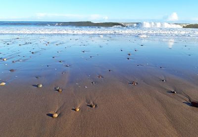 High angle view of beach