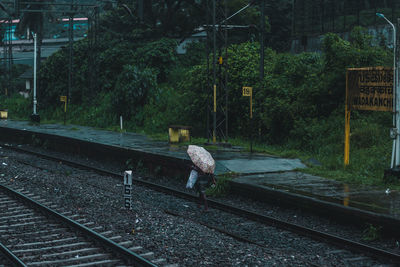 Railroad tracks by trees and plants