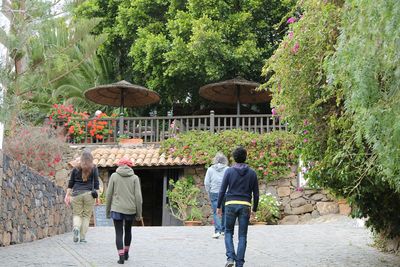 Rear view of man standing in park