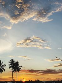 Low angle view of coconut palm trees against sky at sunset