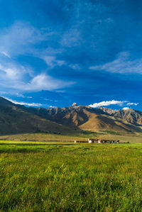 Scenic view of agricultural field against blue sky