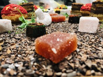 Close-up of ice cream on pebbles