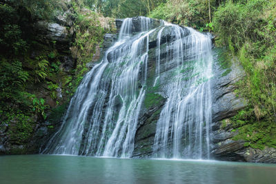 Scenic view of waterfall in forest