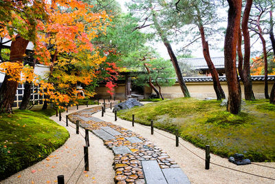 Footpath in park during autumn