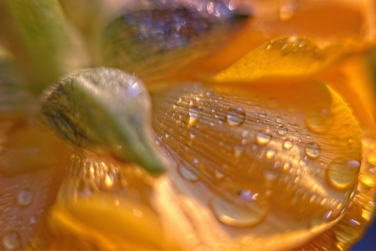 FULL FRAME SHOT OF WATER DROPS