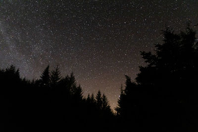 Low angle view of silhouette trees against sky at night