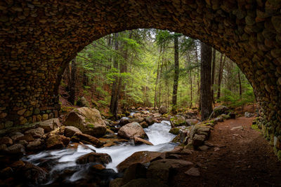 Stream flowing through rocks in forest