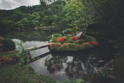 Scenic view of lake