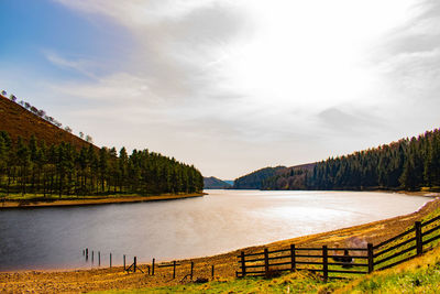 Scenic view of lake by trees against sky