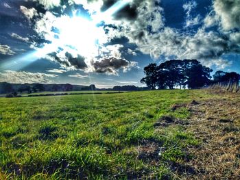 Scenic view of field against sky