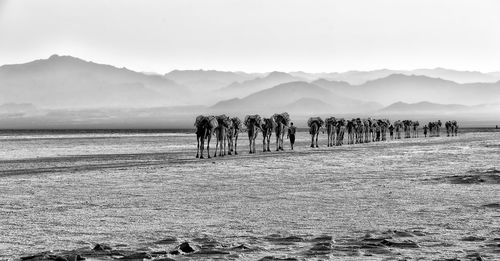 Group of people on the beach