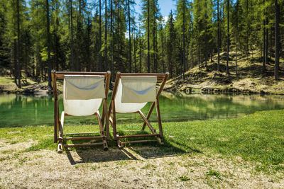 Chairs on land in forest