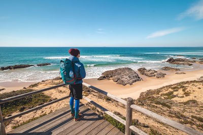 Rear view of man standing at beach against sky