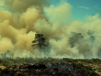 Smoke emitting from fire on mountain