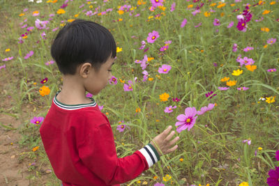 Close-up of boy looking at flowering plants