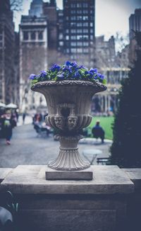 High angle view of flowers in city