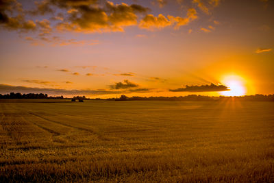 View of a field at sunrise