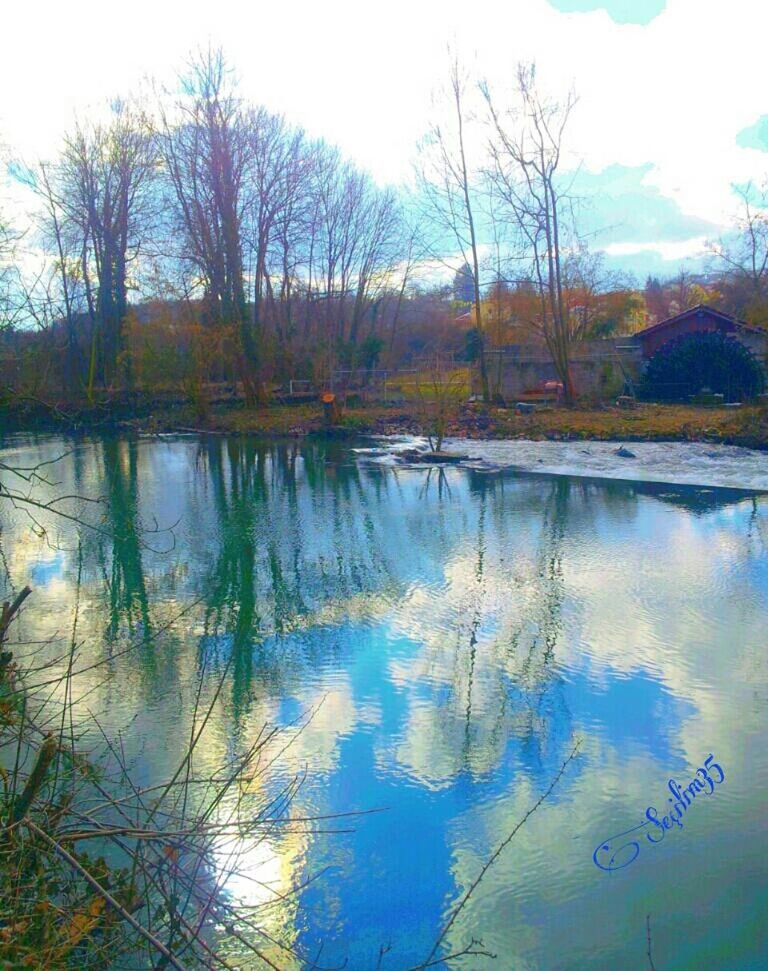 water, reflection, lake, tree, tranquility, tranquil scene, sky, scenics, beauty in nature, nature, bare tree, standing water, waterfront, blue, idyllic, calm, day, lakeshore, outdoors, no people