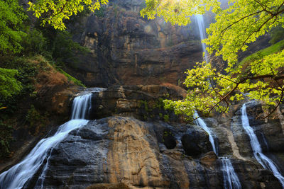 Scenic view of waterfall in forest