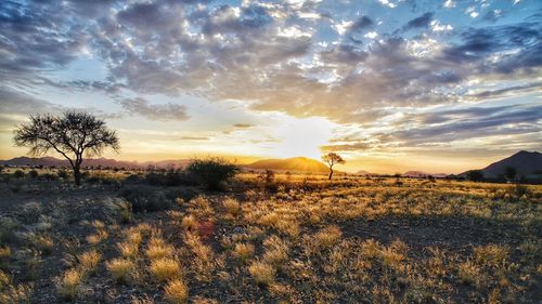 Scenic view of field against sky during sunset