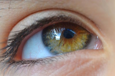 Close-up portrait of human eye