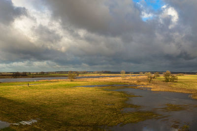 Scenic view of field against sky