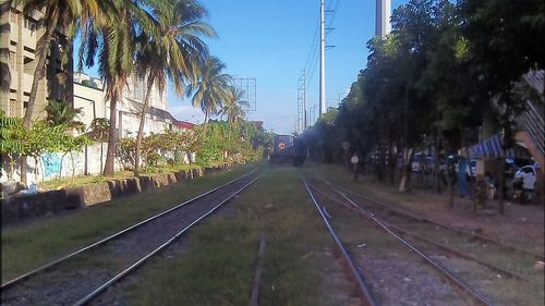 Railroad tracks amidst trees against sky