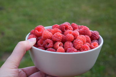 Close-up of hand holding raspberries
