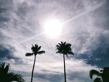 Low angle view of palm trees against sky