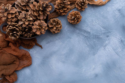 High angle view of candies on table