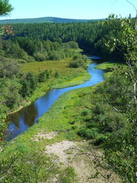 Scenic view of river in forest against clear sky