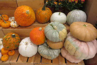 High angle view of pumpkins on table