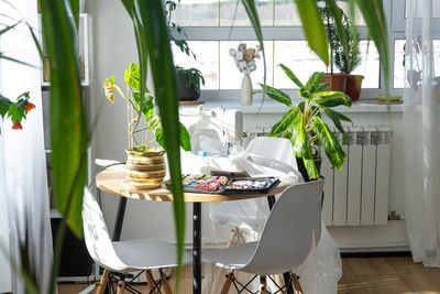 Potted plant on table at home